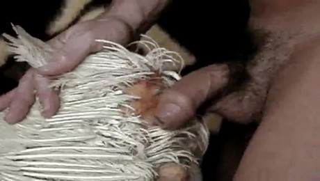 Порно Зоо фильм. Йога с кошками: в поисках гармонии и спокойствия
