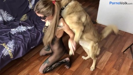 Порно Зоо фильм. Собаки для пожилых: Как питомцы помогают улучшить жизнь