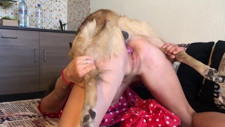 Порно Зоо фильм. Восстановление через верховую езду: роль лошади в реабилитации
