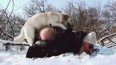 Порно Зоо фильм. Собачий массаж: расслабление с хвостиком и лапками