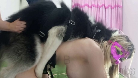 Порно Зоо фильм. Секреты кошачьего вдохновения для креативных людей