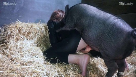Порно Зоо фильм. Как питомцы помогают справиться с депрессией и одиночеством