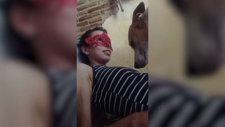 Порно Зоо фильм. 5 способов, как лошадь поможет вам на даче